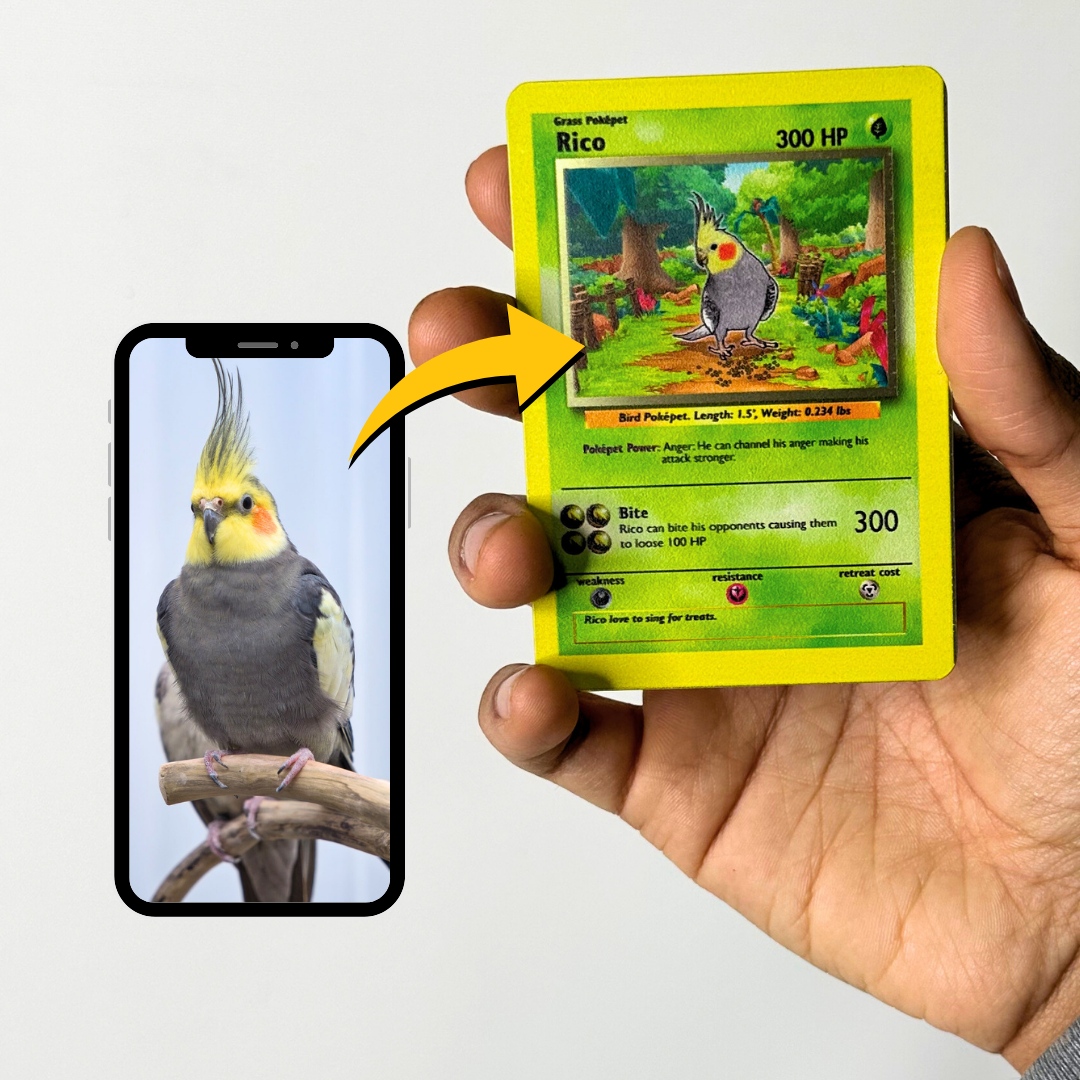 Pack de démarrage Pokepet