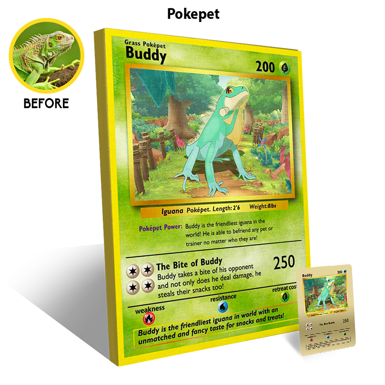 Poketp