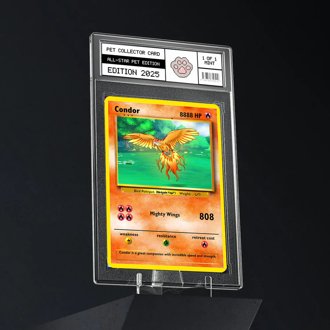 Poketp