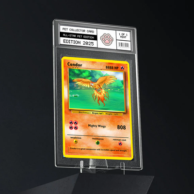 Poketp